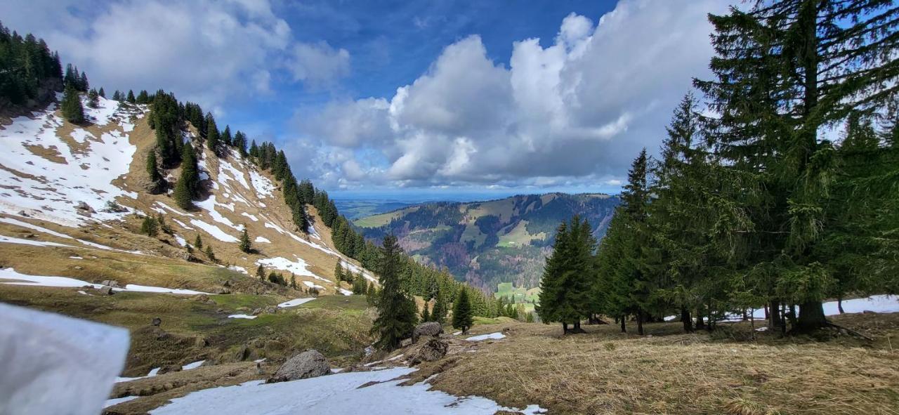Fewo Allgaeuliebe Mit Wlan Oberstaufen Steibis Bagian luar foto